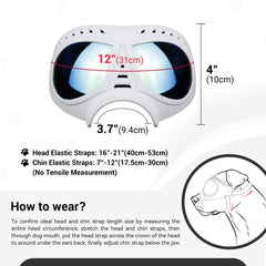 Protección UV NAMSAN para ojos del perro durante paseos.