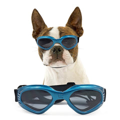 Gafas NAMSAN para perros con lentes ultradurables, protección duradera.