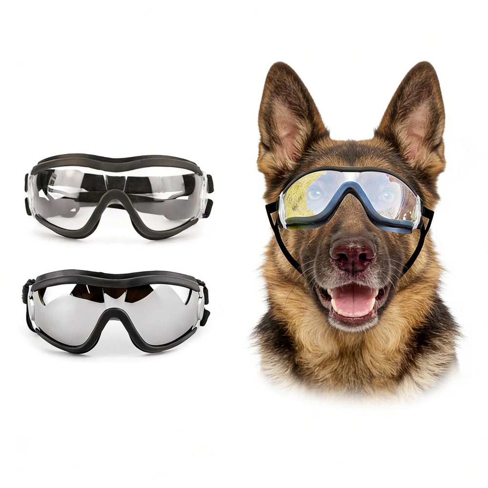Gafas NAMSAN para perros con lentes claros protegen contra el viento.