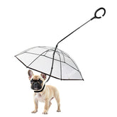 Paraguas NAMSAN para perro pequeño, protección clara bajo la lluvia.