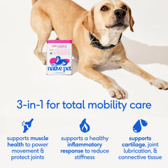 Native Pet Advanced Care HMB para músculos y movilidad del perro