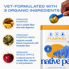 Native Pet calabaza para perros: ingredientes orgánicos para fibra natural