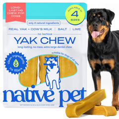 Native Pet Yak Cheese Himalayan palito dental extragrande, empaque visible para perros grandes.