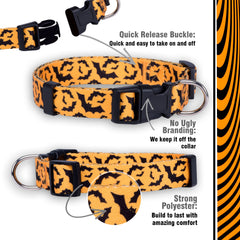 Native Pup collar con acabado reflectante para mayor visibilidad nocturna.