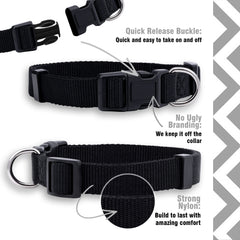 Native Pup collar básico naranja en perro, mayor visibilidad para actividades al aire libre.