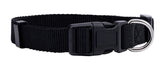 Native Pup collar básico negro en uso, con clip de liberación rápida y anilla en D.