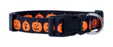 Collar Native Pup con calavera, look espeluznante para fiestas de otoño