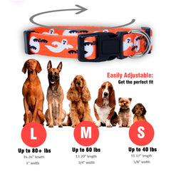 Native Pup collar fantasma, diseño temático y uso diario en octubre.
