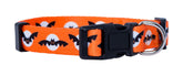 Native Pup collar Halloween calavera: perfecto para fiestas y paseos temáticos.