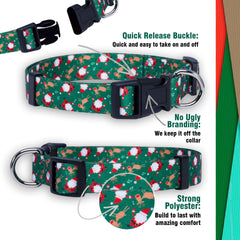 Native Pup collar navidad Baston de Caramelo para perro, colores vivos