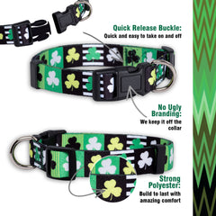 Native Pup collar ajustable con anilla en D de metal