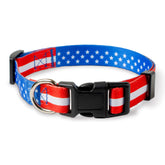 Native Pup collar con bandera americana para paseos patrióticos.