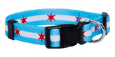 Native Pup collar Chicago con estrellas grandes para lucir orgullo urbano