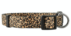 Collar Native Pup Leopardo para perros, diseño llamativo y duradero para paseos