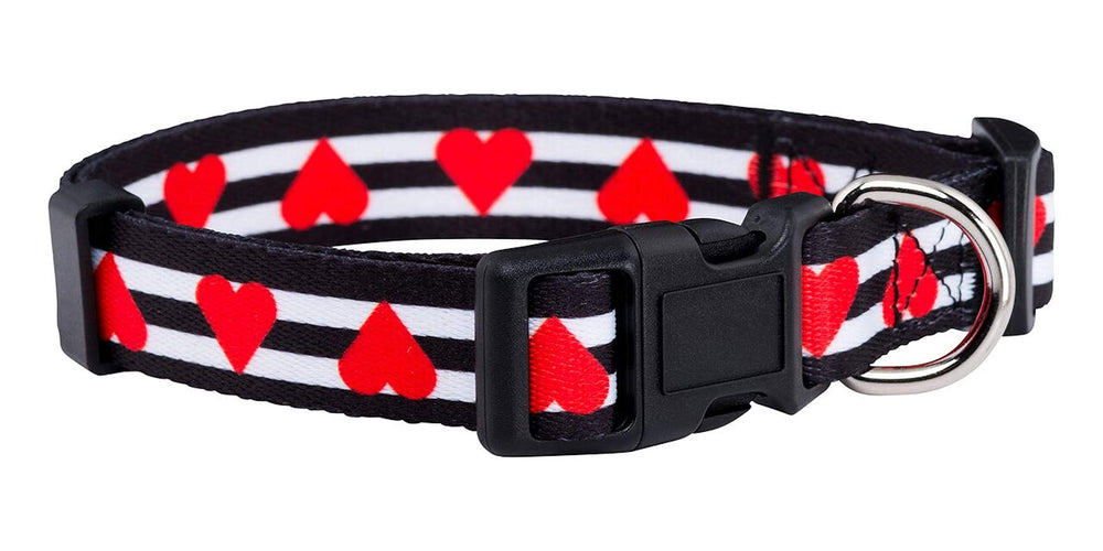 Collar Native Pup San Valentín con corazon rosa, perfecto para paseos diarios.