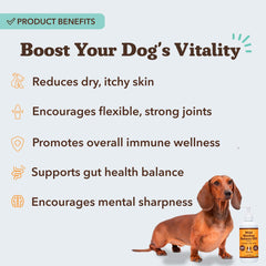 Natural Dog Company aceite salmón Alaska, sobre comida, mejora sabor y nutrición de la comida.