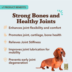 Natural Dog Company etiqueta de glucosamina para perros con resultados visibles.