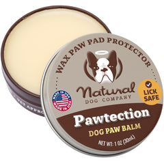 Natural Dog Company PawTection Balm protege las patas en invierno durante caminatas.