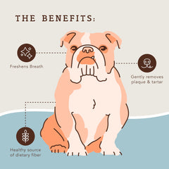 Natural Dog Company respiracion fresca: aliento más agradable tras la masticación.