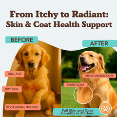 Natural Dog Company Skin & Coat: etiqueta con biotina y vitamina E, piel saludable.