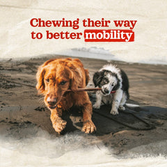 Natural Farm Masticables para perros sin granos