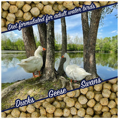 Natural Waterscapes dieta equilibrada para aves acuáticas con harina de pescado
