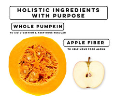 Nature's Diet polvo de calabaza mezclado con agua para puré suave para perros.
