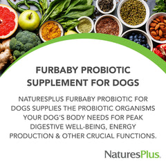 Etiqueta frontal de FurBaby Probiotic para uso diario en perros.