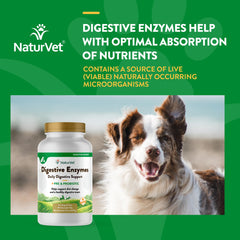 Gomitas masticables NaturVet, textura agradable para la ingesta diaria.