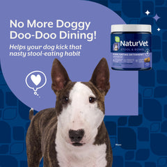 NaturVet enzimas y probióticos apoyan la digestión y equilibrio intestinal.