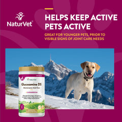 NaturVet Glucosamina DS Nivel 1, gato móvil, ayuda a mantener flexibilidad durante juego.