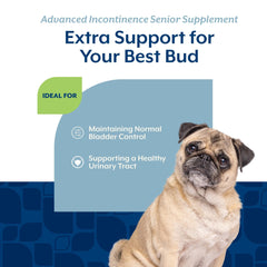 NaturVet Senior Botanicos Mezcla: apoyo suave para funciones urinarias