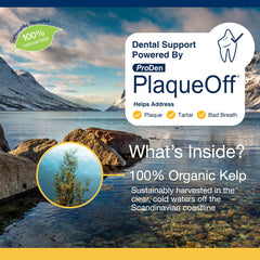 NaturVet Sport Breed: refuerzo de inmunidad y antioxidantes para el día a día.