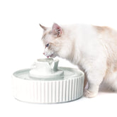 NautyPaws fuente cerámica para gatos con flujo estable que invita a beber
