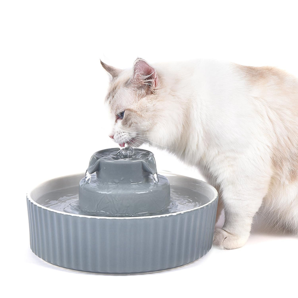 NautyPaws fuente gato cerámica 360 gris, diseño estable para beber diario.