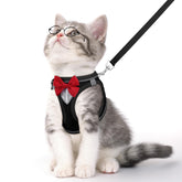 Arnés NCMAMA para gato con correa y cinta reflectante para mayor visibilidad.