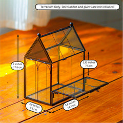 NCYP terrario ideal para aranas pequenas y otros insectos en espacios domesticos.