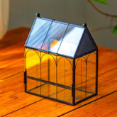 NCYP terrario mini casa de vidrio con malla mejora la ventilación para mascotas pequeñas.
