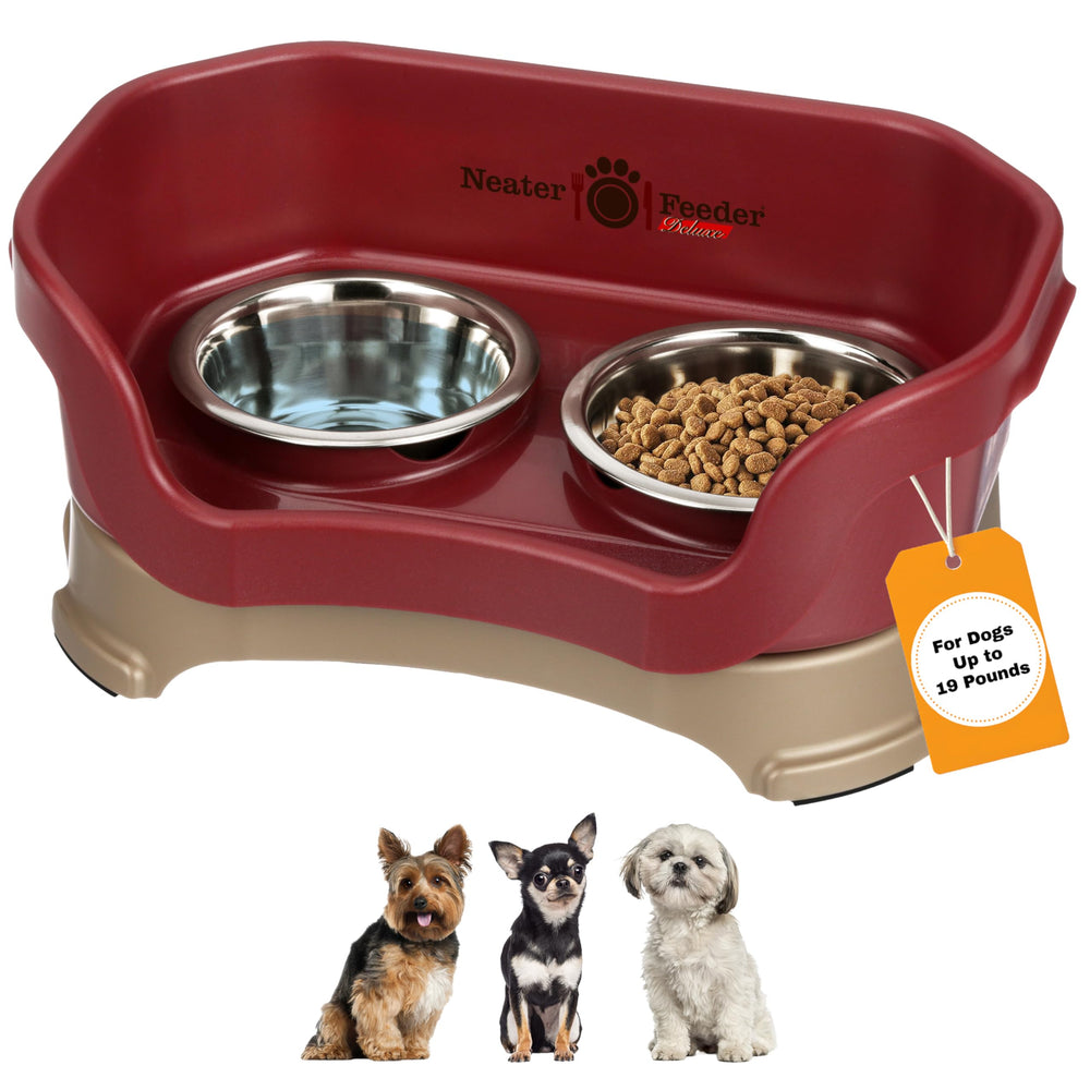 Neater Feeder Deluxe para perros pequeños, alto soporte para comer cómodamente.