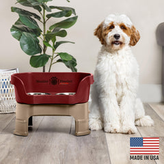 Neater Feeder Deluxe: tazón de agua de acero inoxidable para perros medianos, derrames reducidos.