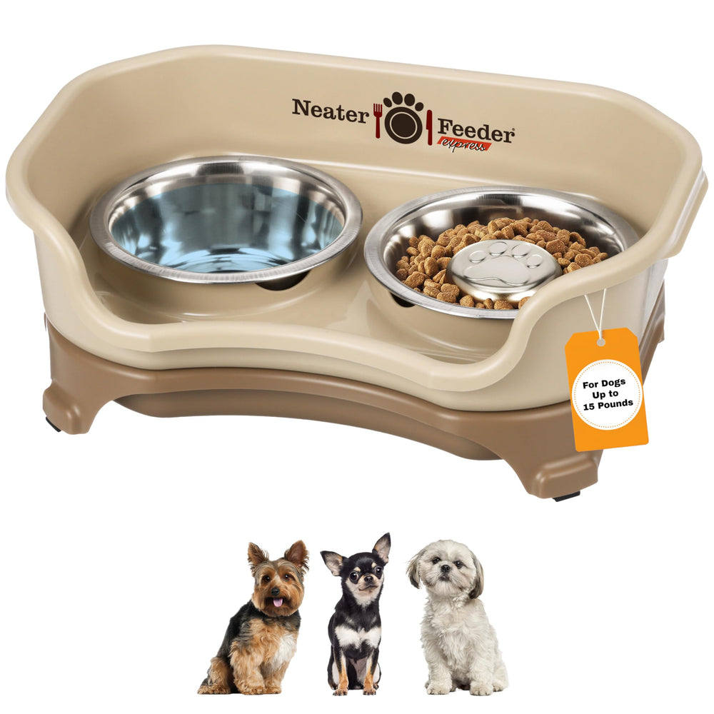 Neater Feeder Express: aliento de alimento elevado para perros pequeños y cómodo uso diario