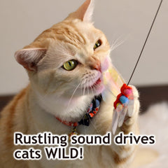 NECOICHI sonido crujiente: mantiene la atención del gato durante el juego.