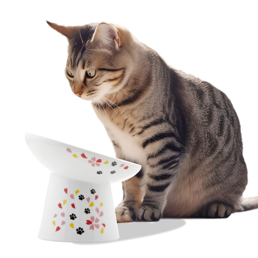 Necoichi tazón-alzado-gatos-ceramico-15-grados: comodidad para bigotes durante la comida