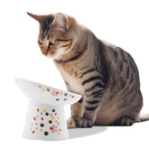Necoichi tazón-alzado-gatos-ceramico-15-grados: comodidad para bigotes durante la comida