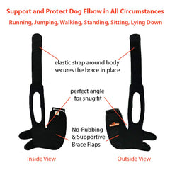 NeoAlly protector de codo para perro durante juego, protección y libertad de movimiento.