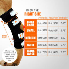 NeoAlly: diseño ergonómico para la articulación del tarso.