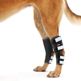 NeoAlly soporte tobillo trasero para perro grande mejora movilidad durante recuperación