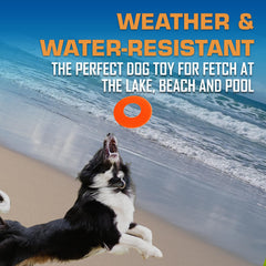 Nerf Dog Atomic Flyer impermeable y flota para lago y playa.