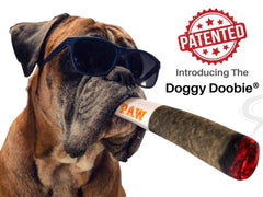 Nestpark Doggy Doobie, tamaño mediano, perfecto para perros de talla mediana y juego interactivo.