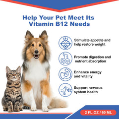 Netrca B12 líquido para gatos: aumenta la energía para jugar.